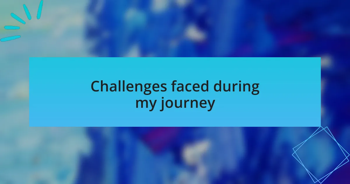 Challenges faced during my journey
