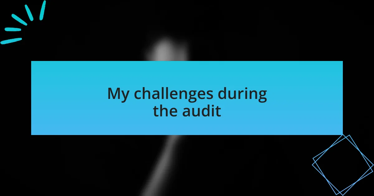My challenges during the audit